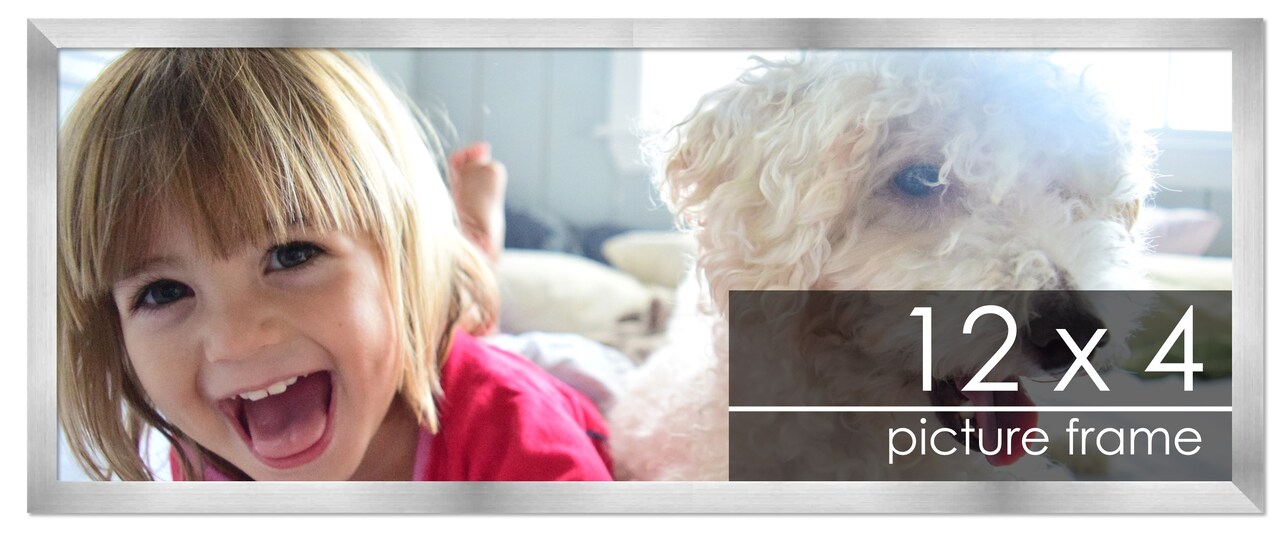 12x4 Solid Wood Picture Frame with UV-Resistant Acrylic & Acid-Free Backing, Available in 6 Finishes: Matte Black, Matte White, Metallic Bronze, Silver, Natural Wood Grain & Mahogany